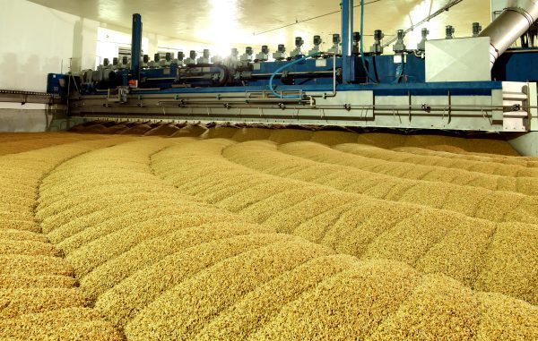 Lebensmittelindustrie-2 Automatisierte Produktion von Malz.