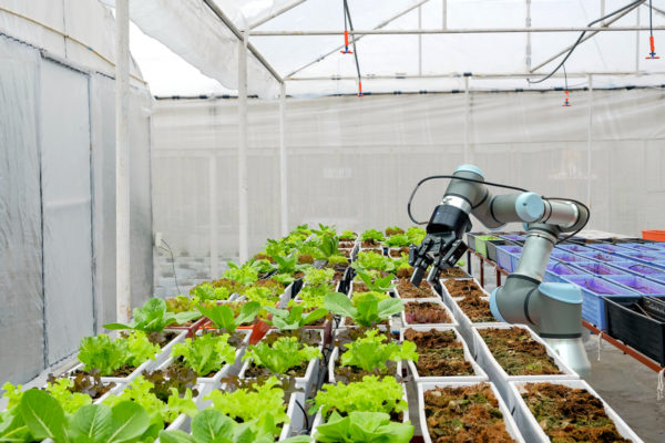 Digitalisierung im Agrarsektor Digitalisierung und Smart Farming sorgen für effizientere Prozesse