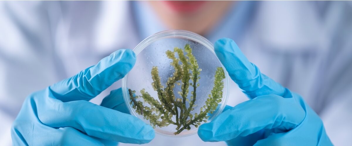 Life Science Gründung Science-Branche