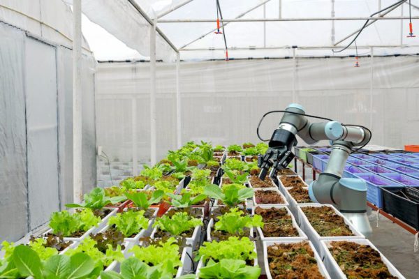 Digitalisierung in der Landwirtschaft Digitalisierung in der Landwirtschaft