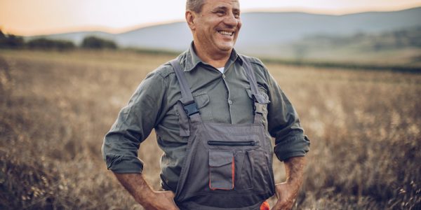 Landwirtschaft