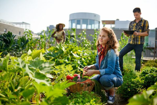 Nachhaltigkeit in der Landwirtschaft Nachhaltigkeit in der Landwirtschaft