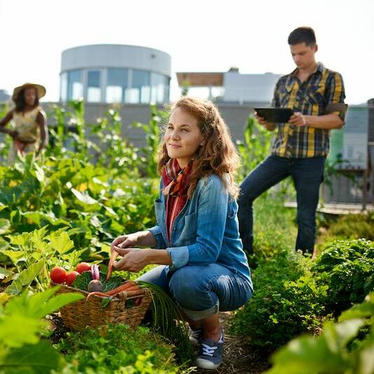 Nachhaltigkeit in der Landwirtschaft Nachhaltigkeit in der Landwirtschaft