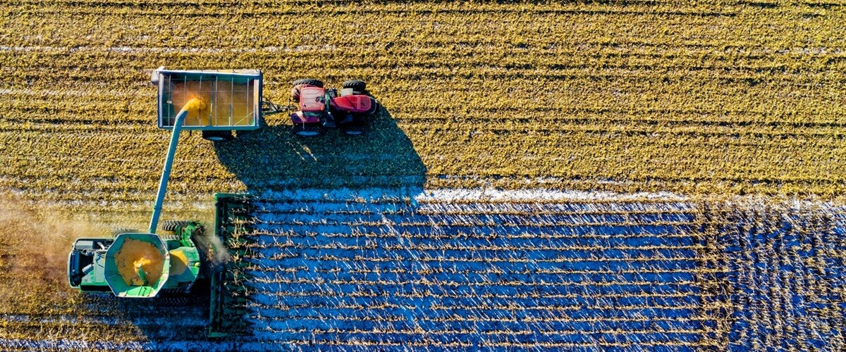 Smart Farming beeinflusst die Landwirtschaft Smart-Farming