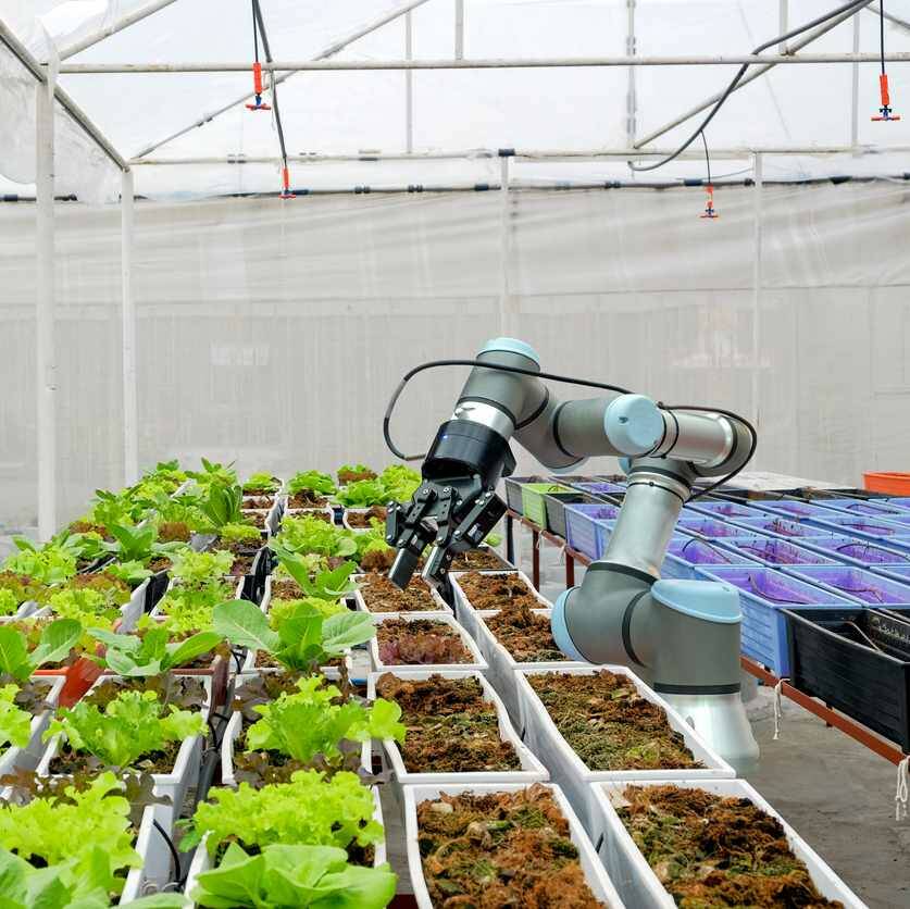 Digitalisierung in der Landwirtschaft Smart Farming mithilfe von Robotern