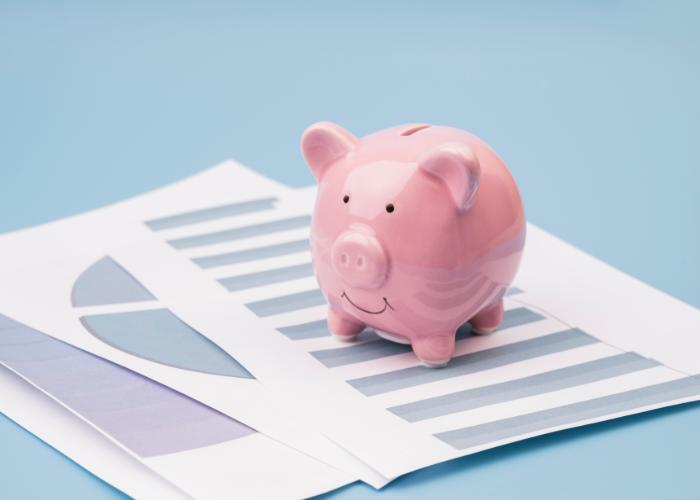 Buchhaltung-Sale-and-lease-back-Sparschwein Buchhaltung-Sale-and-lease-back-Sparschwein
